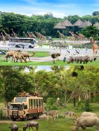 探索自然之美——曼谷野生動物世界的奇妙旅程