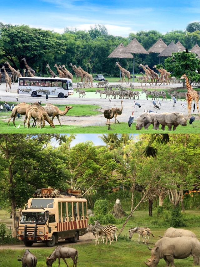 探索自然之美——曼谷野生動物世界的奇妙旅程