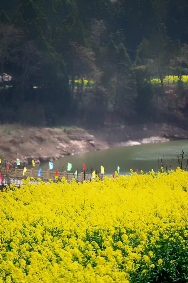 You must visit the ancient town of Berlin in Zhao Hua in April