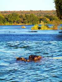 長河落日     徜徉餘暉——津巴比韋「贊比西河」
