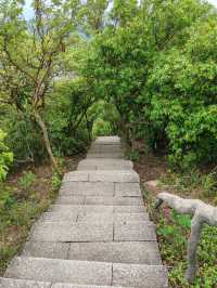 深圳大小梧桐山超詳細攻略