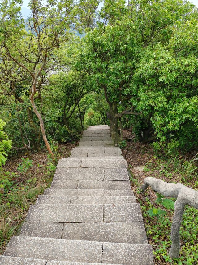 深圳大小梧桐山超詳細攻略