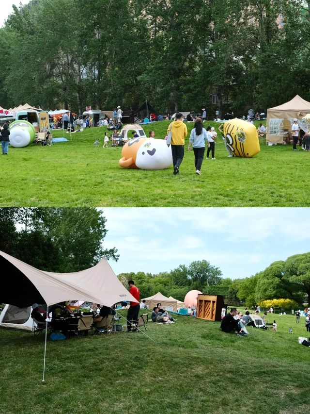 北京東三環新開的野餐露營重點人少