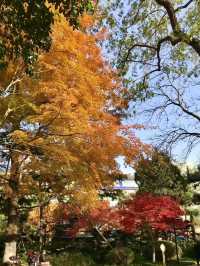 美麗上海紅園風景