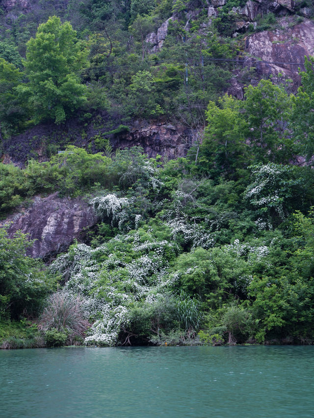 赴一場夏日之約|楠溪江漂流初體驗