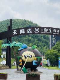 莫干山天際森谷山野樂園遊玩攻略