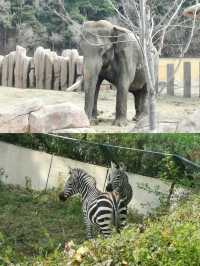 沈陽森林動物園