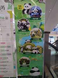 來南京城北萬象匯Rua 一下Panda大熊貓