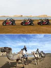 駱駝漫步烏素特（水上）雅丹，領略別樣風情