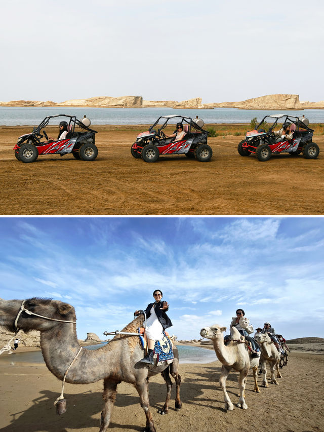 駱駝漫步烏素特（水上）雅丹，領略別樣風情