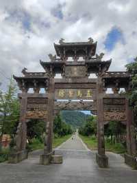 千年時姓古村宗祠，八百歲樟樹兄弟