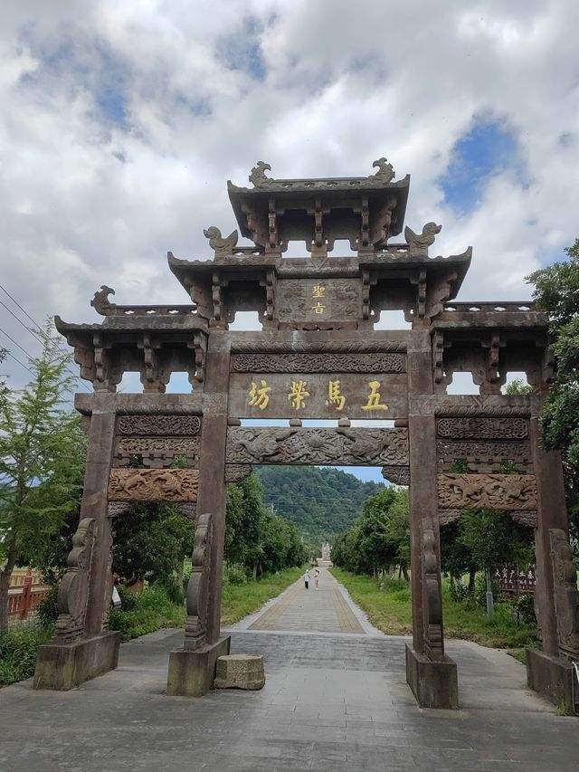 千年時姓古村宗祠，八百歲樟樹兄弟