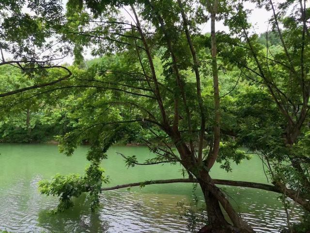 貴州黔南小眾景點 | 平塘，暑假結束前必去
