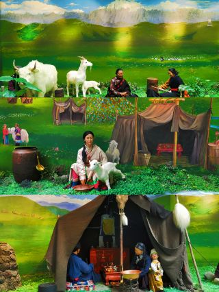 Niche Museum Tianzhu Tibetan Autonomous County Museum The First Bronze Yak in China