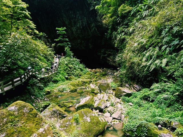 Wulong: Karst Paradise