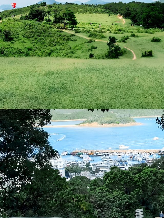 剛從香港“阿勒泰”回來…差點被美哭