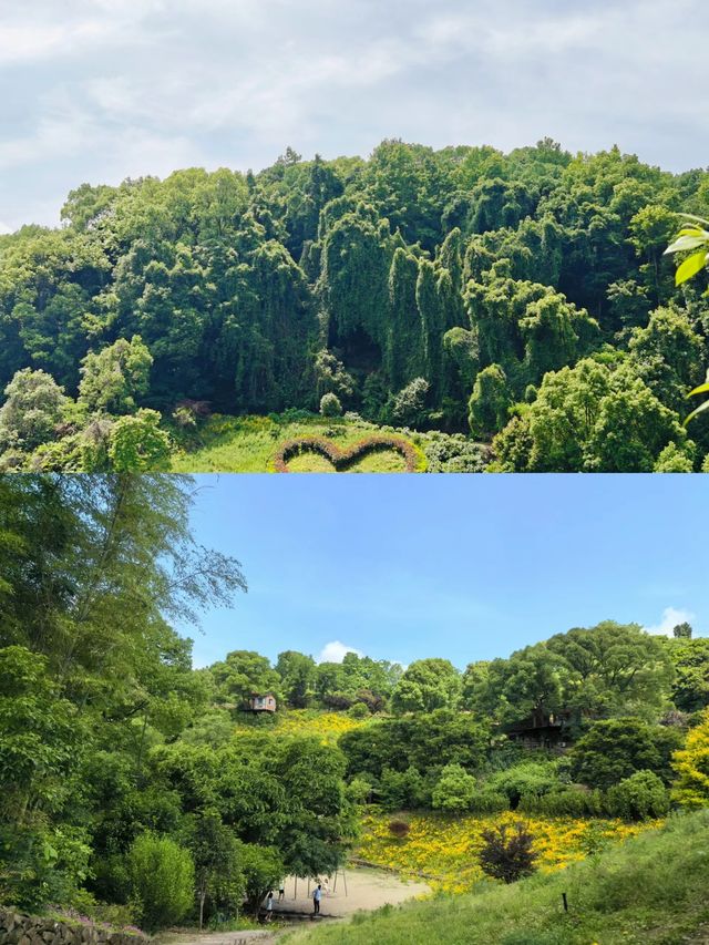 【打卡三門網紅拍照地]浙江台州-棲心谷