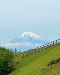 《你的名字》同款取景地【大室山】附攻略。