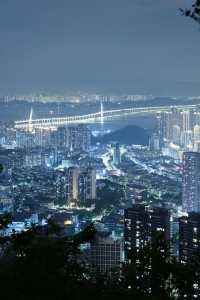 愛樂之城深圳｜南山公園夜景打卡攻略🌃