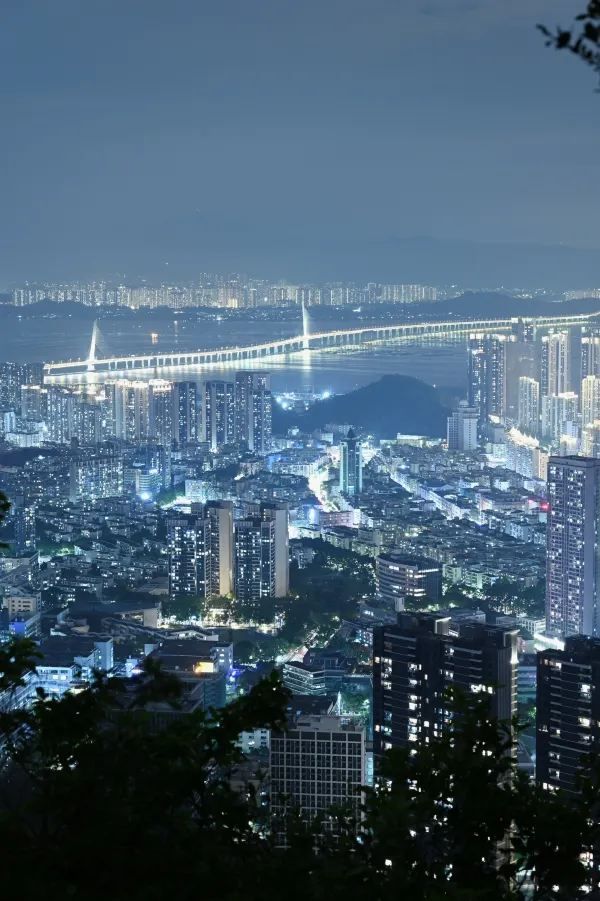 愛樂之城深圳｜南山公園夜景打卡攻略🌃