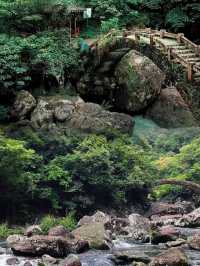 永嘉·楠溪江 | 人間桃源，邂逅多彩山水畫卷。
