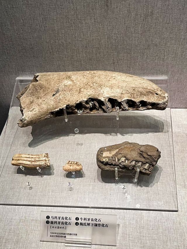 陽泉博物館