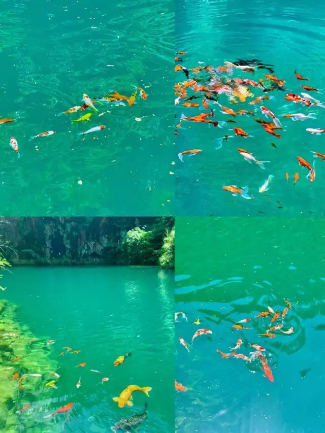 This is actually a place near Hangzhou that is so beautiful it took my breath away!|||。
