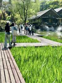 藏在上海靜安公園裡的花園度假風泰國餐廳。