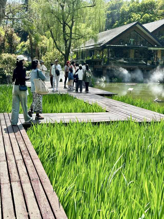 藏在上海靜安公園裡的花園度假風泰國餐廳。