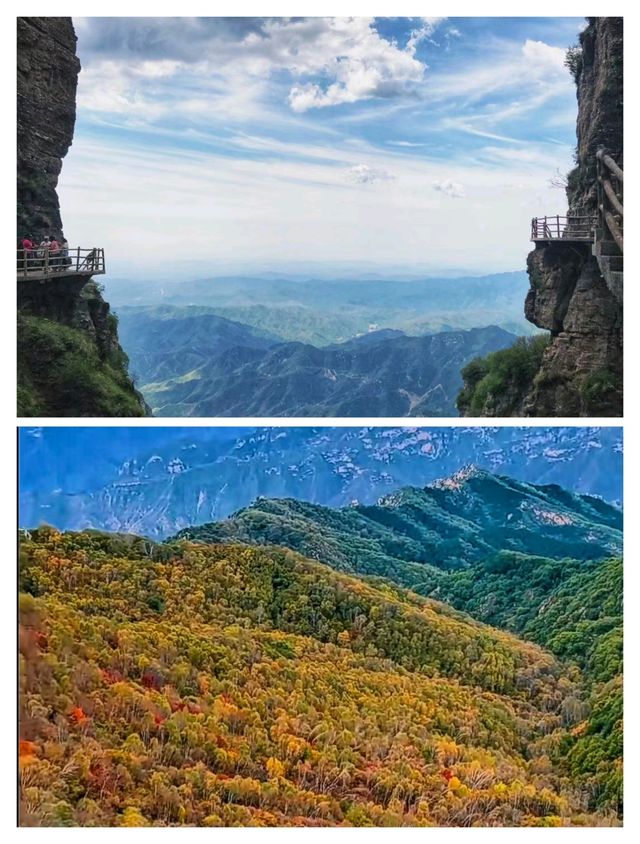 秦皇島彩林天花板,把握秋天的尾巴! 秦皇島彩林天花板,把握秋天的尾巴!