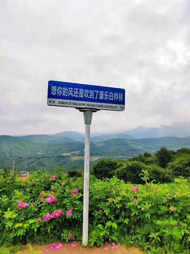 光頭強的家被我找到啦。