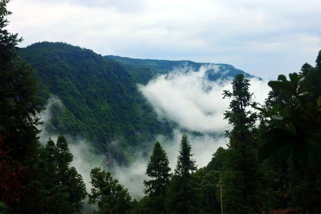 帶孩子過週末|天台山地質微博物館。