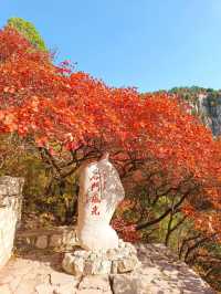 山東石門坊｜齊魯紅葉。