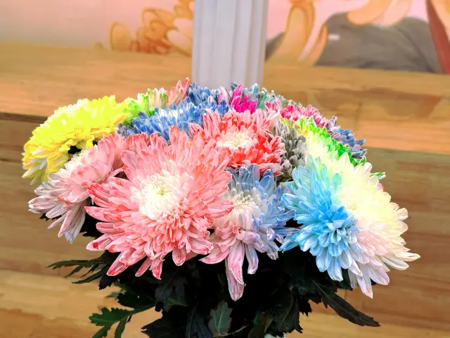 開封菊韻，驚艷了整個秋天！
