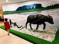 【稻香之旅】馬來西亞稻米博物館旅遊攻略，探索馬來西亞稻米文化。