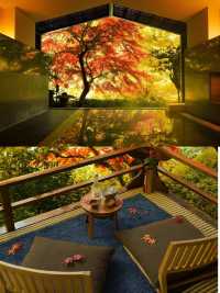 到箱根泡個湯賞個紅楓，這趟日本總算沒白來！。