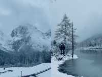 11.4實況 | 下雪的畢棚溝美到 Next level。