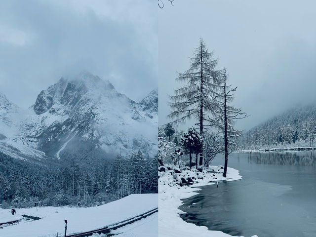 11.4實況 | 下雪的畢棚溝美到 Next level。