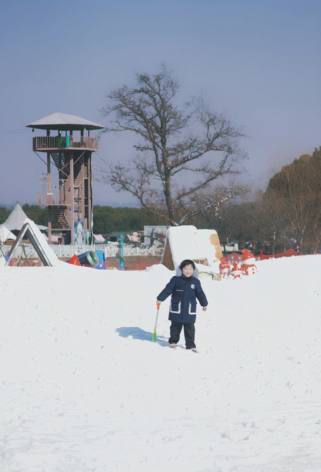 去什麼哈爾濱｜上海自駕也能實現玩雪自由｜｜｜大家的春節。