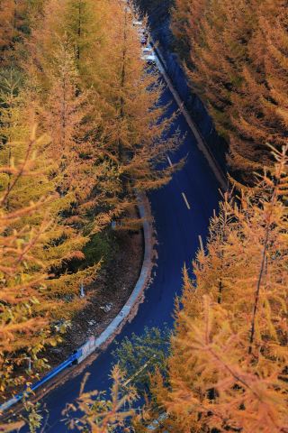Mount Hualong in autumn is nature's most colorful palette. 
