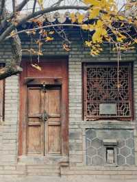 探秘古絲綢之路上文化瑰寶‖甘谷大象山公園。