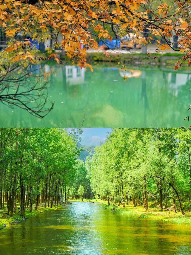 北京最美公路來了！實拍實景定位不私藏。