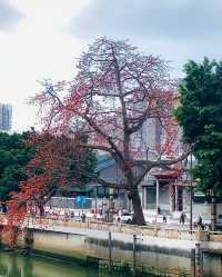 《佛山中山公園，休閒與文化的樂園》。