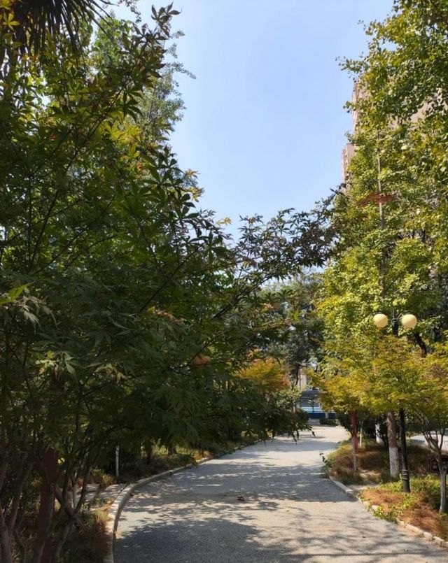 勞動公園。