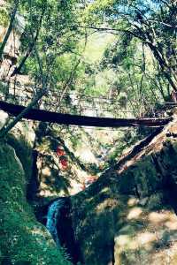 信陽旅遊。