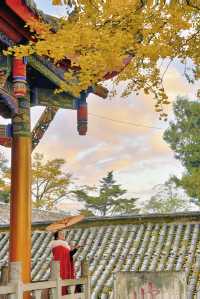 成都周邊1H｜赴一場千年古寺的銀杏之約。