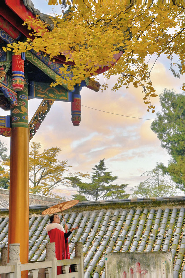 成都周邊1H｜赴一場千年古寺的銀杏之約。