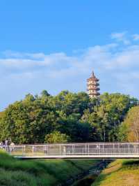 深圳公園|西麗生態公園。