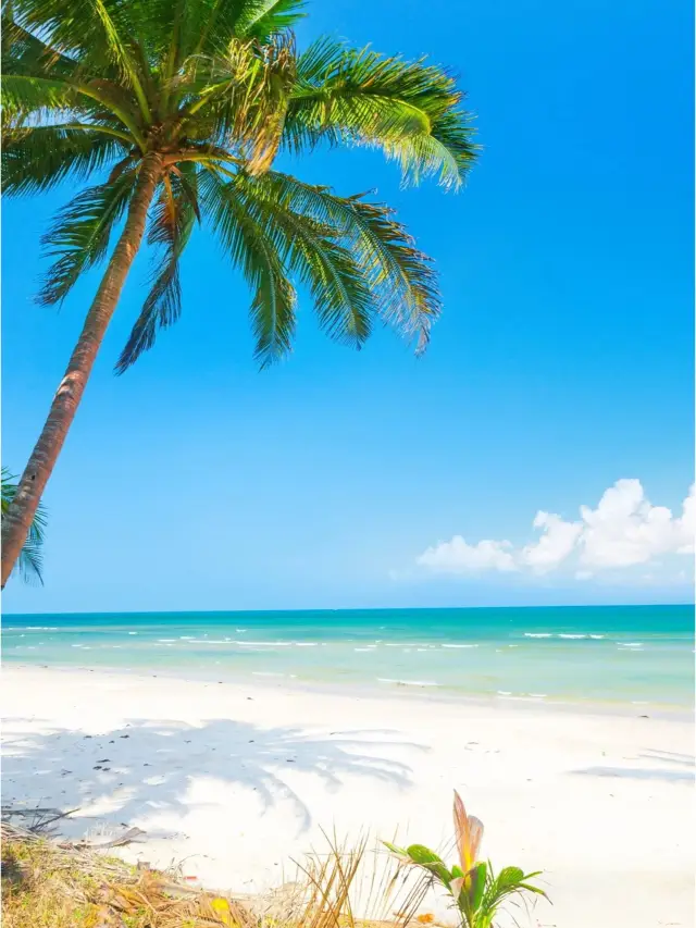 8-Day Fiji Free Tour: These Are the Only Places I Recommend.