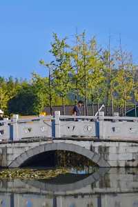 一日遊|杭州自駕1小時安吉免費省錢周末遊攻略。